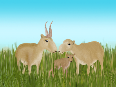 Saiga Family