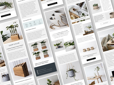 Email Design Collection 🌱 branding clean digital marketing eco ecommerce business editing email design email marketing emails graphic design minimalist minimalistic modern muted muted colors newsletter pastel pots recycling social media