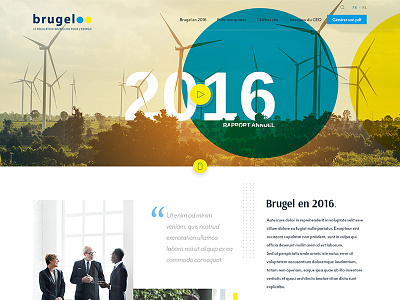 Template Brugel Annual Report