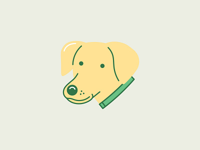 Olive (part 2) cute dog golden retriever maltese puppy