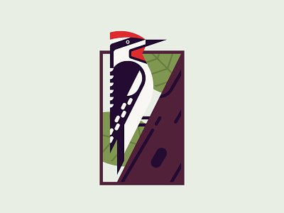 Red-naped Sapsucker beak bird illustration leaves red red naped sapsucker tree woodpecker