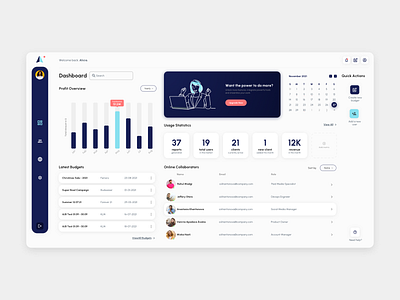 budget & profit dashboard branding design desktop interface product ui web design