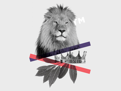 King of the Jungle illustration jungle king lion