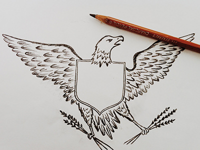 Eagle Illustration charcoal eagle illustration merica