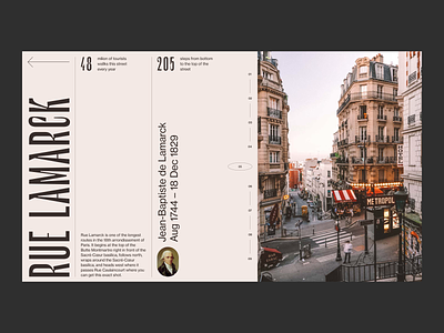 The streets of Paris branding clean concept design layout typography ui ux website website design
