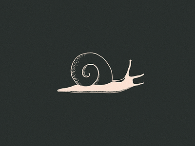 Snail Sketch branding design illustration procreate snail vector