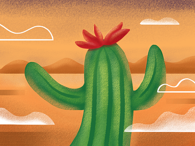 cactus cactus desert design drawing illustration vector