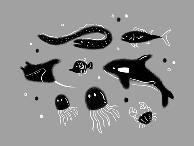 Sea Animals animal blackandwhite design drawing fish illustration underwater