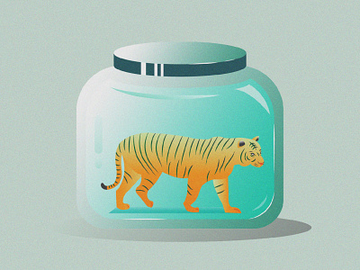 Tiger Illustration