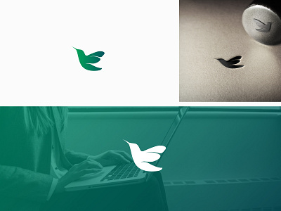 Another Bird logo Idea