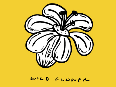 Wild Flower doodle drawing flower illustration mockup packaging yellow