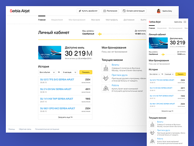Personal cabinet Airlines airlines cabinet personal responsive ui ux web yandex