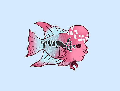Flowerhorn fish art beautiful branding colors design illustration logo vector