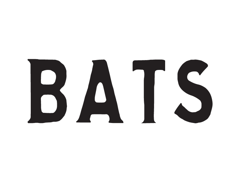 Batty 2d animation bat bats drawlloween flying gif halloween loop particular type