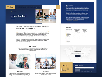 Treliant - About about consulting firm interior landing landing page map ui ux web website