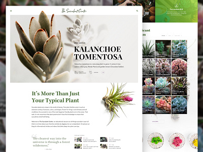 The Succulent Center cacti grid home page landing plant quote resource center succulent web design