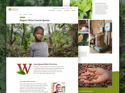 World Cocoa Foundation Impact Story Concept chocolate cocoa foundation landing nature ui ux web web design