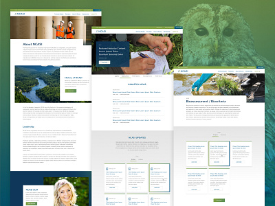 NCASI Interior Web Pages about cards design events featured institute interior jump off landing list news non profit research responsive staff ui ux web web design website
