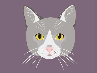 Grey Cat Illustration