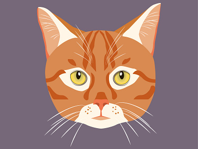 Red Cat Illustration cat cat drawing cat illustration graphic design illustration orange red vector