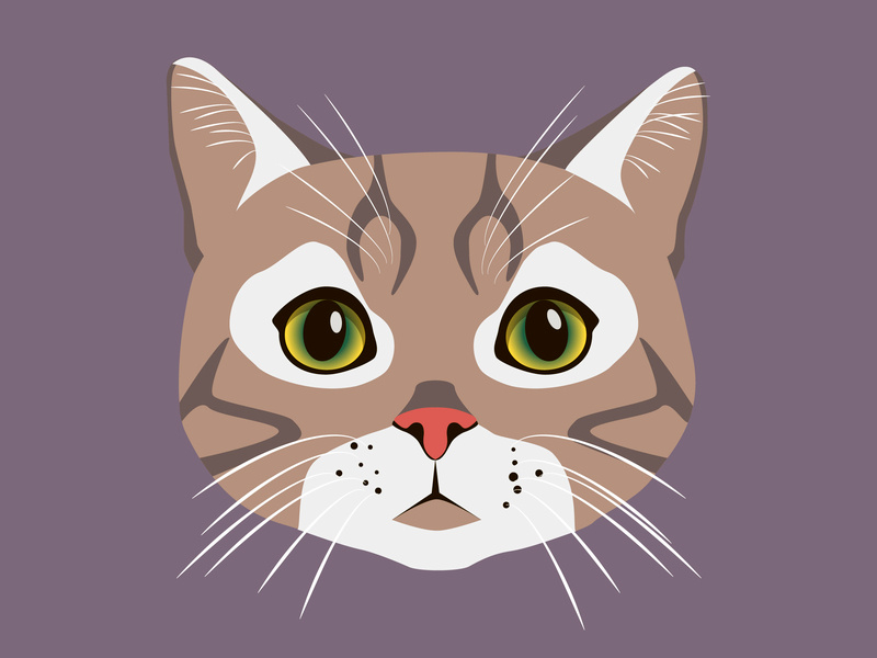 Brown Cat Illustration By Marine Gavrilova On Dribbble