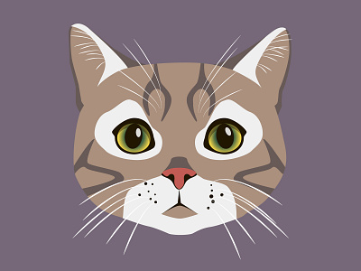 Brown Cat Illustration