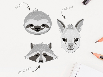 Wildlife animals - sloth, llama, raccoon vector illustration aminals design graphic design illustration llama raccoon sloth vector wildlife