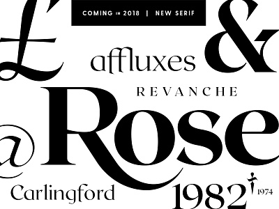 New serif: work in progress 2018 calligraphy connary fagen font fonts serif typeface typography vintage wip