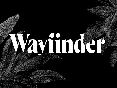 Wayfinder CF serif font family bold branding capitals connary fagen design display font font design headline lettering serif smooth strong tall type typeface typography vintage warm wayfinder
