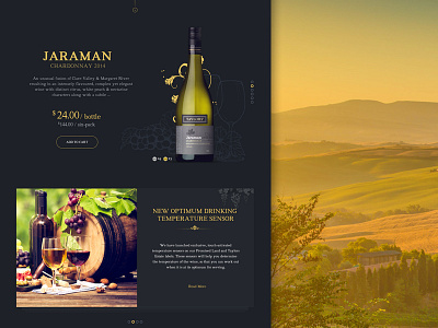 Wine Website Design Concept