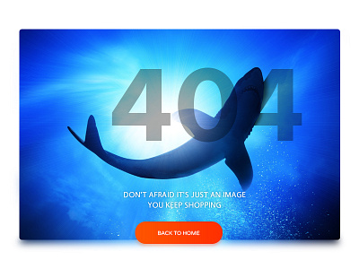 404 008 404 concept dailyui design error idea sea shark