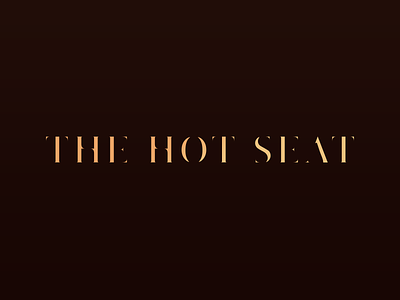 The Hot Seat Logotype contrast logotype serif type typeface