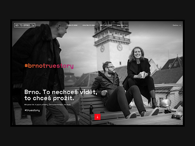 #truestory (TIC Brno) ui user experience user interface ux ux design web website