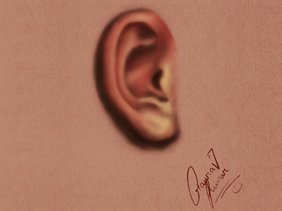 Ear Study drawing painting artist