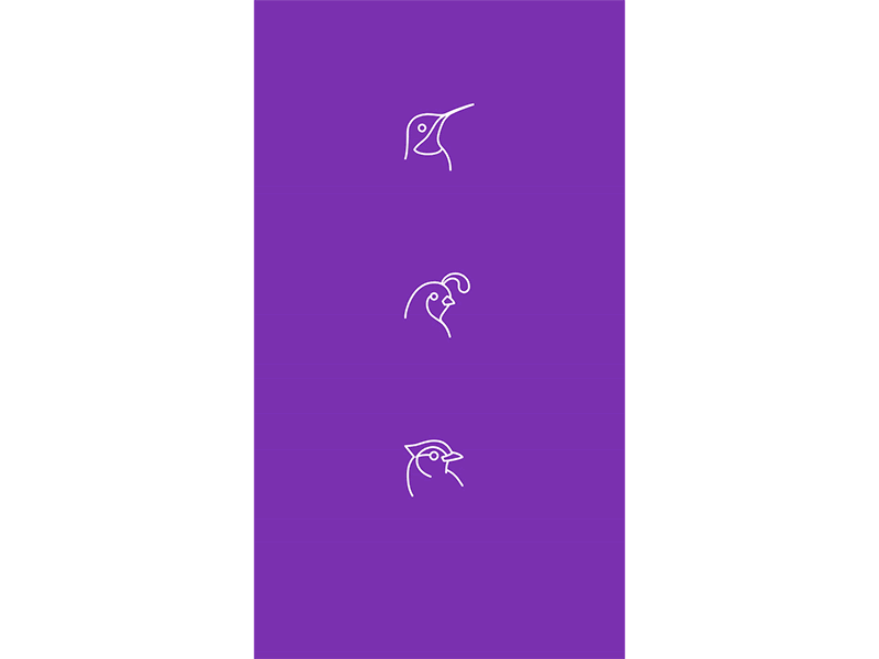 XD Experiment adobexd bird icon icons ui ux xd