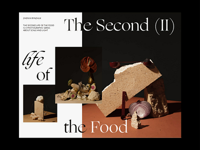 The Second Life of The Food design typography photography