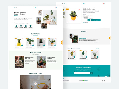 Plant Store Web Design branding plant illustration plant store ui design user experience web design website