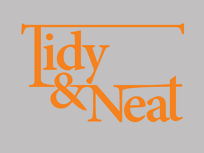 Tidy & Neat Logo cleaning logo neat orange organizing tidy wordmark