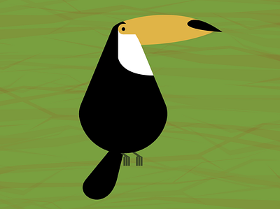Toucan bird black illustration toucan white yellow