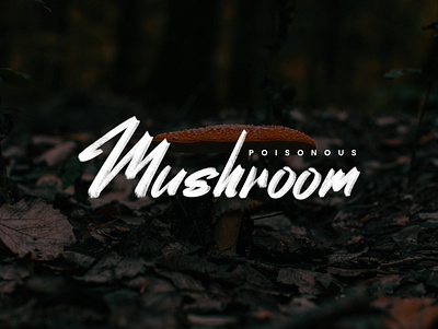 Random Lettering. Poisonous Mushroom adobe ilustrator branding clean coreldraw design elegant logo logo inspirations simple typography vector