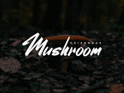 Random Lettering. Poisonous Mushroom