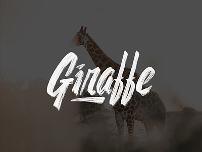 Random Lettering. Giraffe adobe ilustrator branding coreldraw design elegant illustration logo logo inspirations simple typography