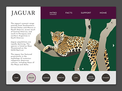 Daily UI 003: Landing Page animal big cat daily 100 challenge dailyui 003 design illustration jaguar nature sketch sketch app vector art web design wildlife