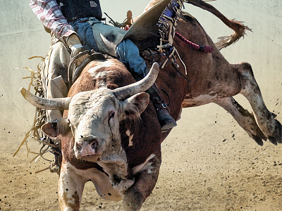 Days of '47 Rodeo – Program Cover