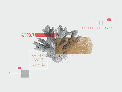 Who We Are Spot Illustration branding coral gold illustration logo texture type typography values