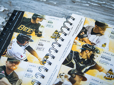 BEES - 2014 Season Tickets