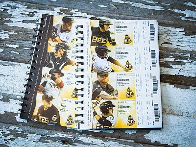 Salt Lake Bees - 2014 Season Tickets