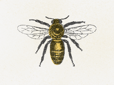Martin Kids' - Honey Logo (Detail) bee family honey logo natural pure