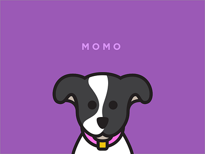 Momo dog illustration momo vector