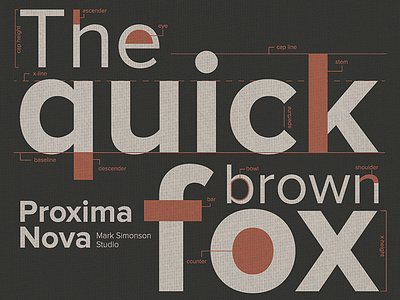 Typeface Poster anatomy design proxima nova typeface typography